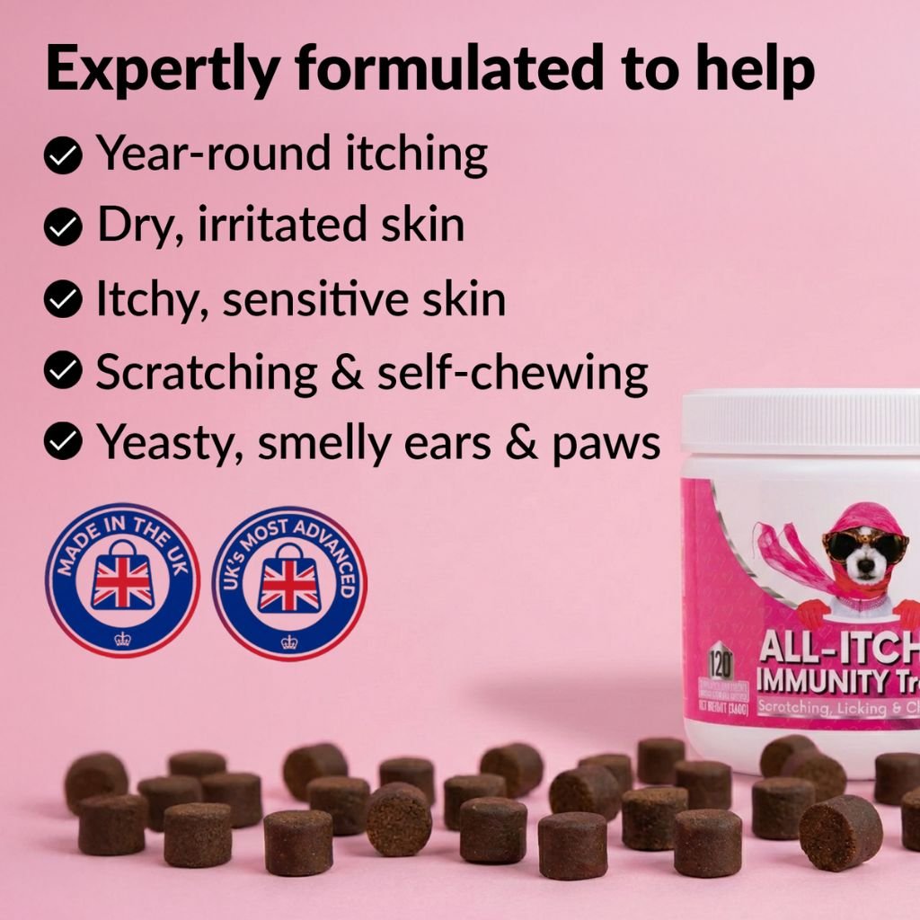 All - Itch Soft Chews - NutriPaw