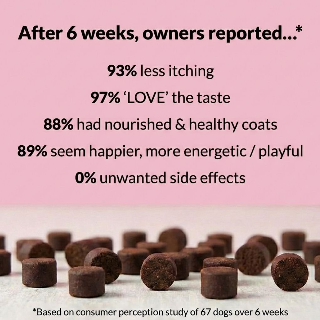 All - Itch Soft Chews - NutriPaw