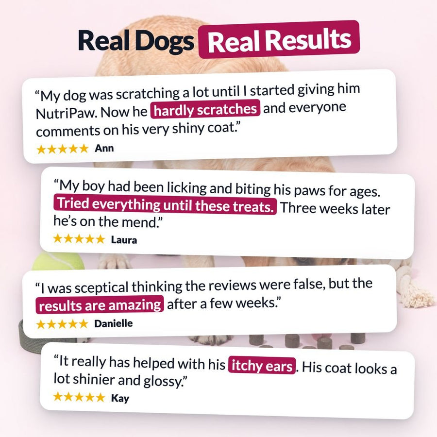 All-Itch Treats - NutriPaw