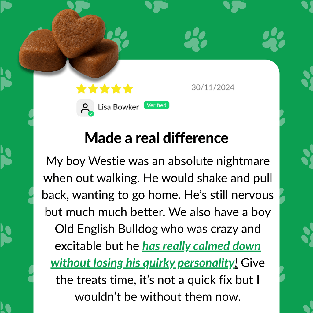 Build Your Calming Kit - NutriPaw