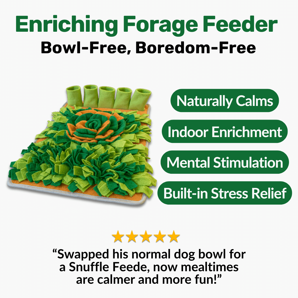 Build Your Calming Kit - NutriPaw