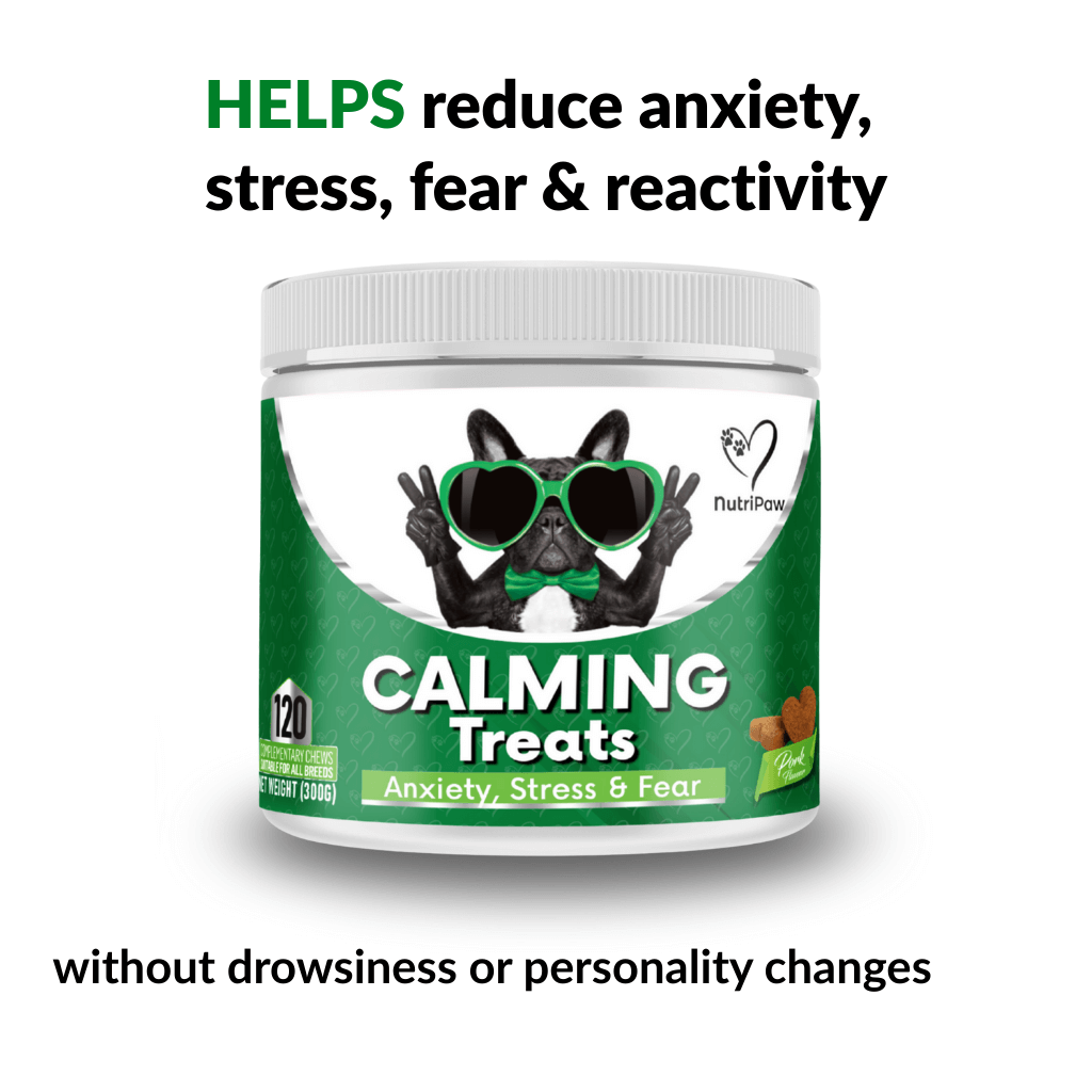 Calming Natural Treats For Dogs (Stress & Anxiety) - NutriPaw