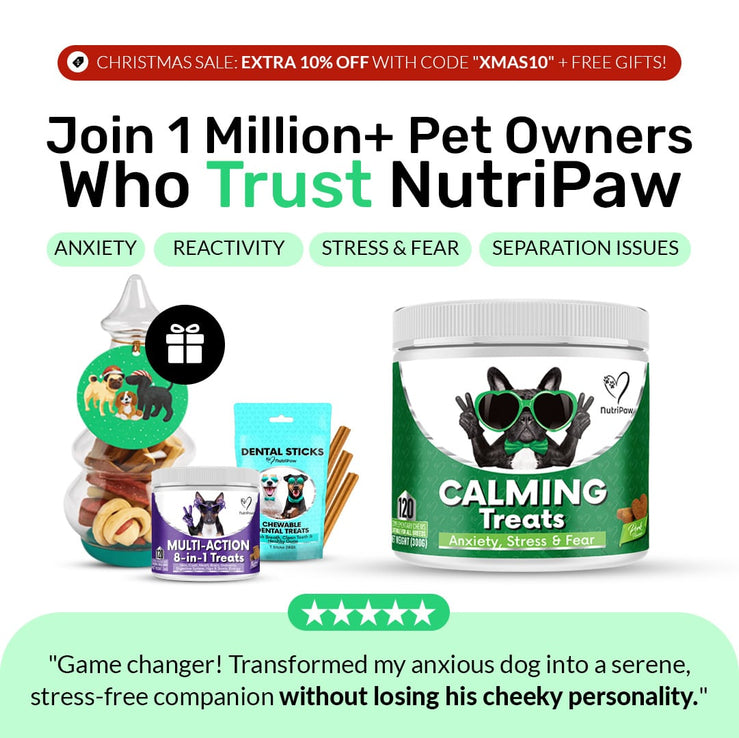 Calming Treats - NutriPaw