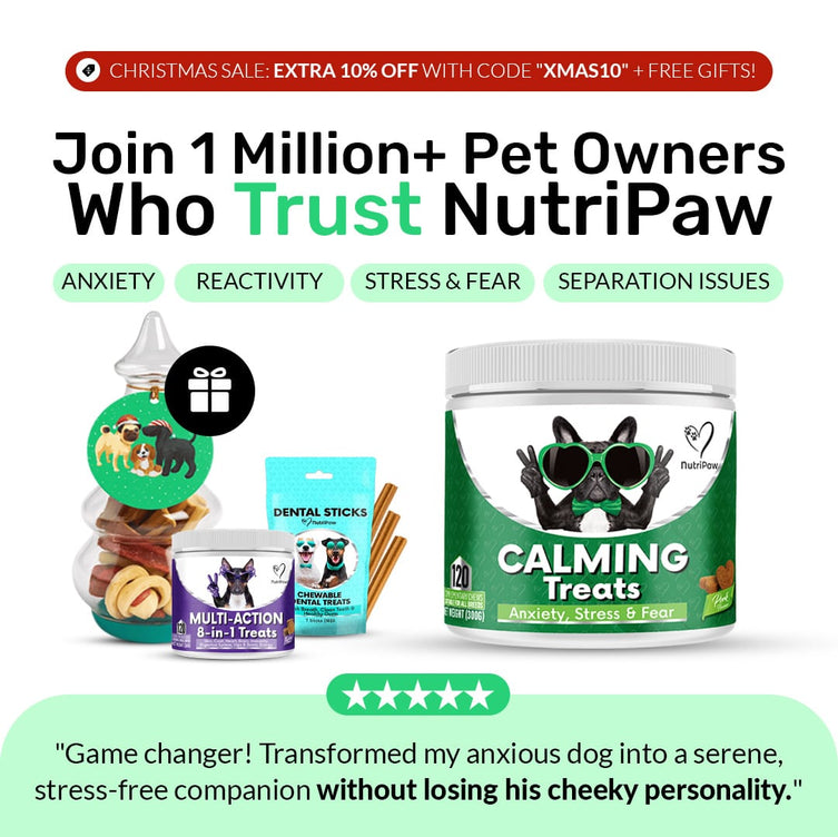 Calming Treats - NutriPaw