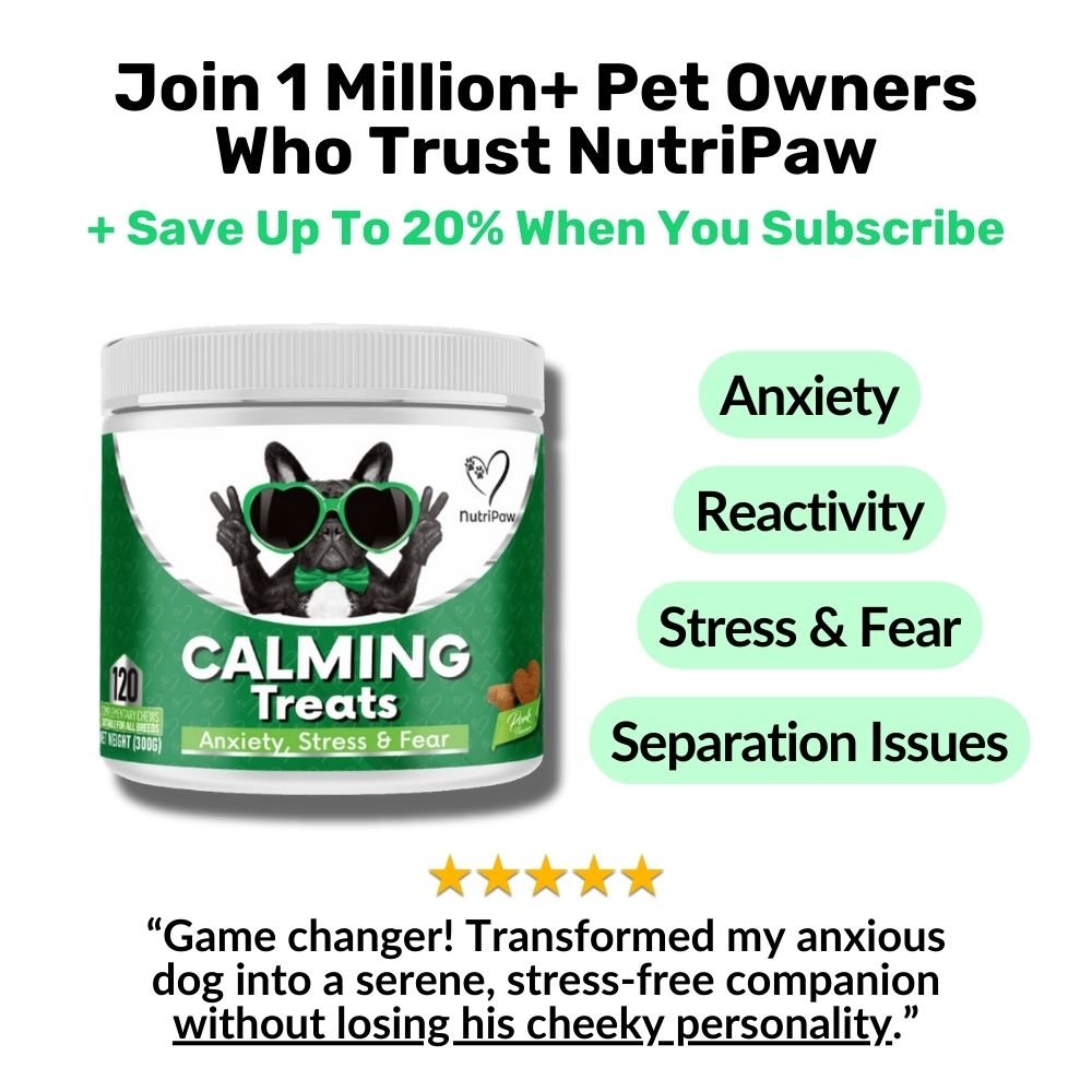 //nutri-paw.com/cdn/shop/files/calming-treats-3172710.jpg?v=1767396009