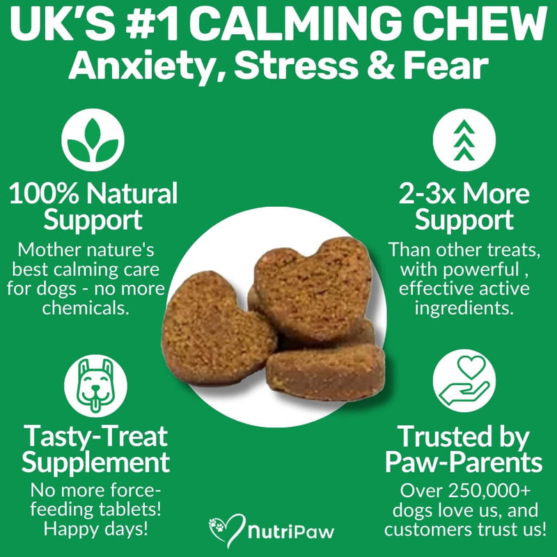 Calming Natural Treats For Dogs (Stress & Anxiety) - NutriPaw