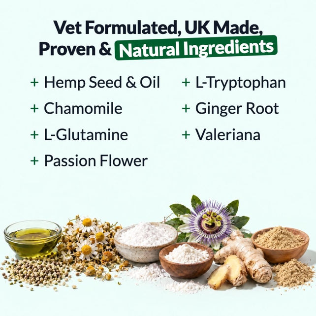 Calming Treats - NutriPaw