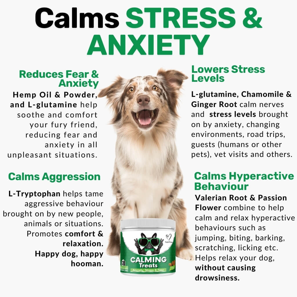 Calming Treats - NutriPaw