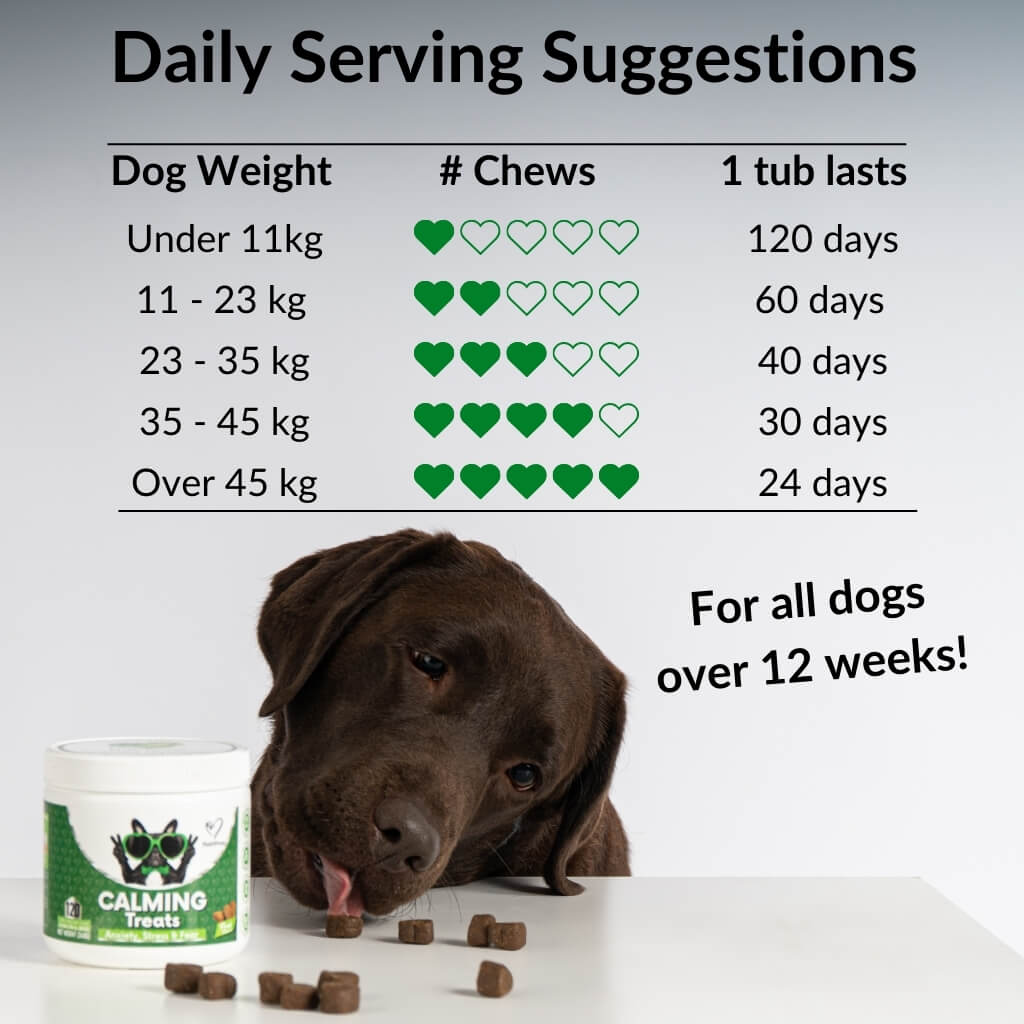 Visual Reference: Calming Natural Treats For Dogs Stress Anxiety