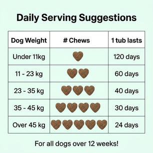 Calming Treats - NutriPaw