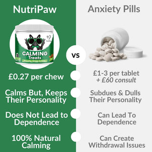 Calming Treats - NutriPaw