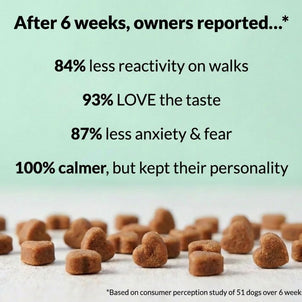Calming Treats - NutriPaw