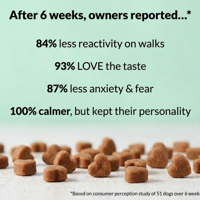 Calming Treats - NutriPaw