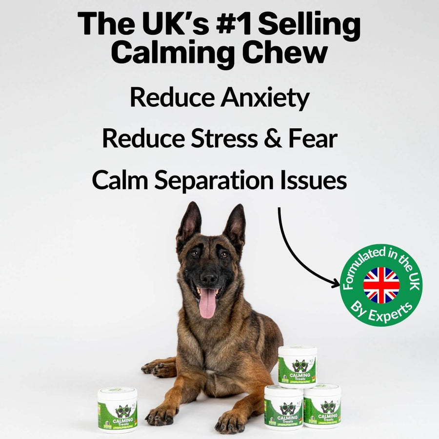 Calming Treats - NutriPaw