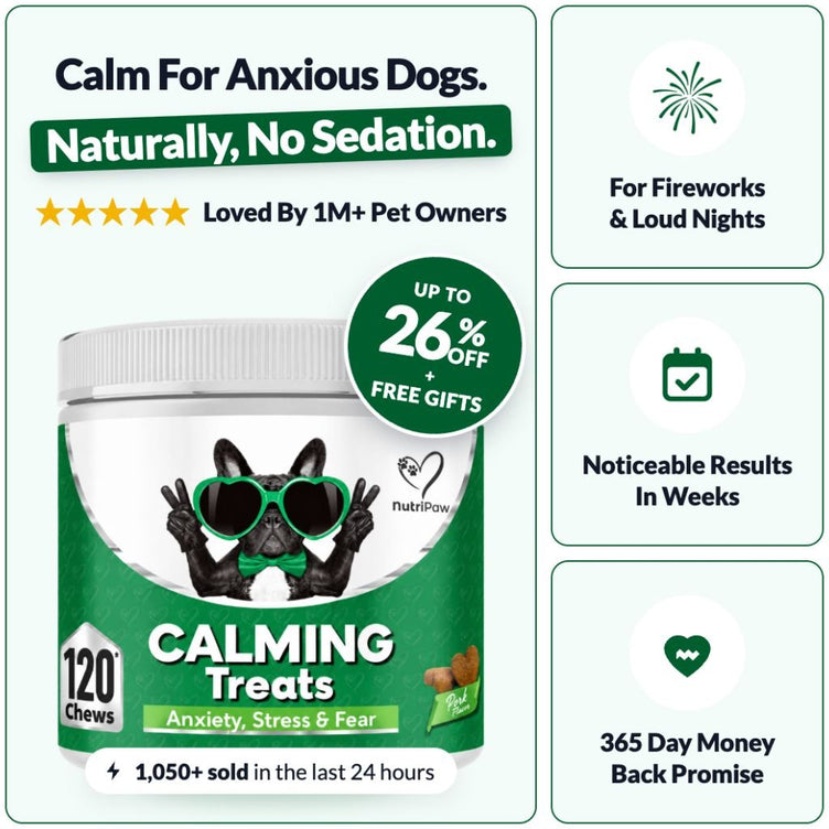 Calming Treats - NutriPaw