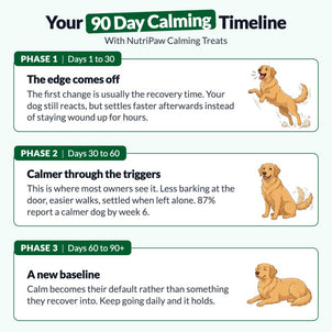 Calming Treats - NutriPaw