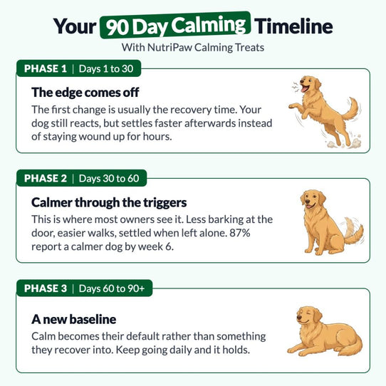 Calming Treats - NutriPaw