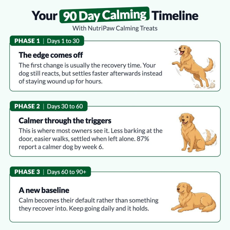 Calming Treats - NutriPaw