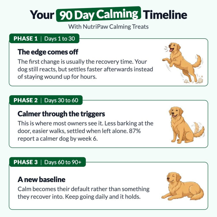 Calming Treats - NutriPaw