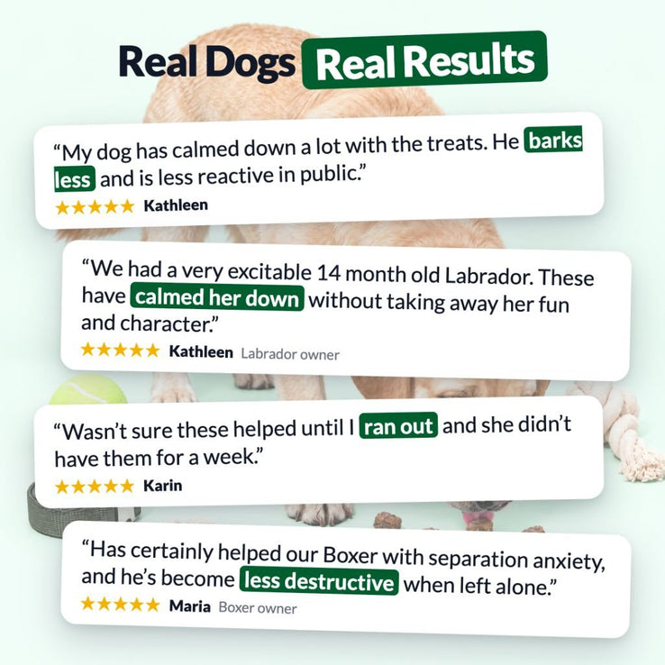 Calming Treats - NutriPaw