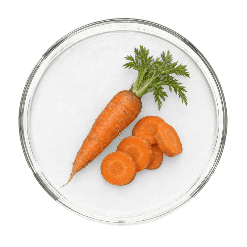 Carrot