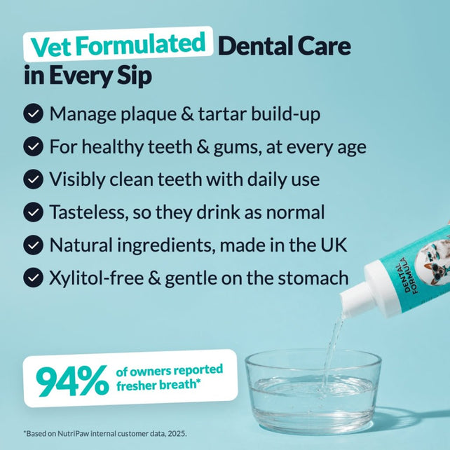 Dental Formula Water Additive - NutriPaw