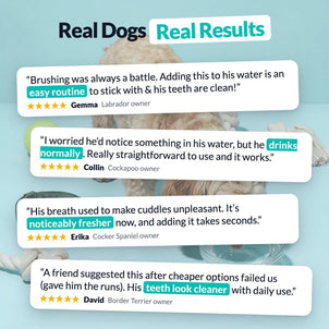 Dental Formula Water Additive - NutriPaw