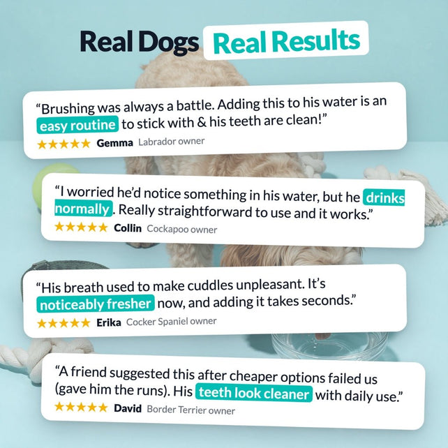 Dental Formula Water Additive - NutriPaw