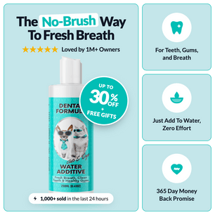 Dental Formula Water Additive - NutriPaw