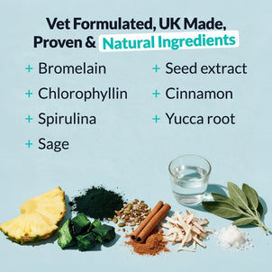 Dental Formula Water Additive - NutriPaw