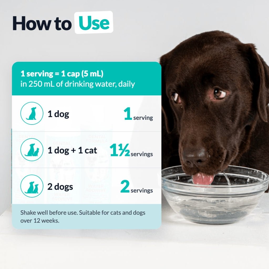 Dental Formula Water Additive - NutriPaw