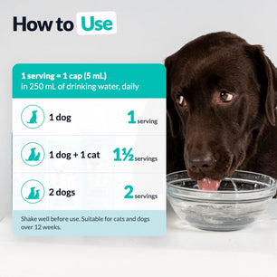 Dental Formula Water Additive - NutriPaw