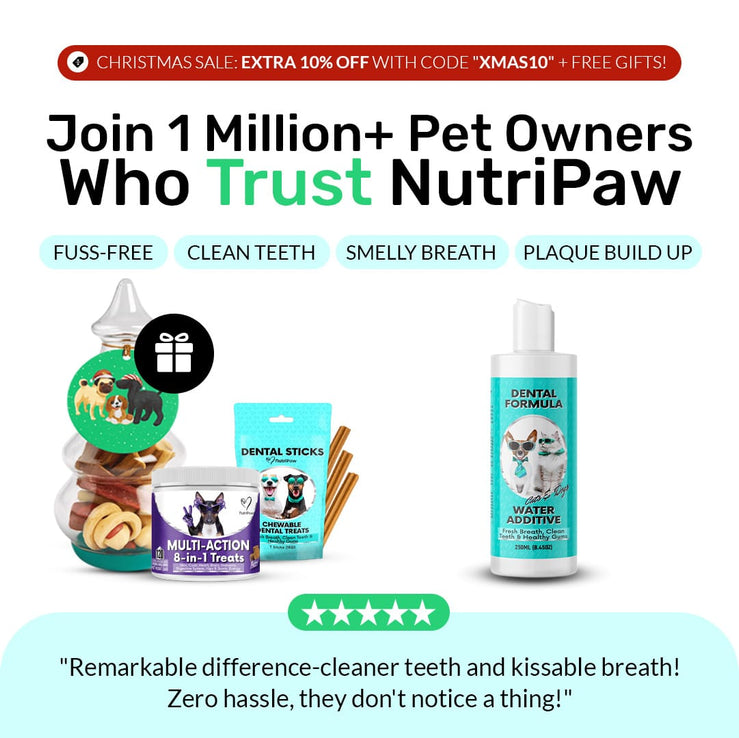 Dental Formula Water Additive - NutriPaw