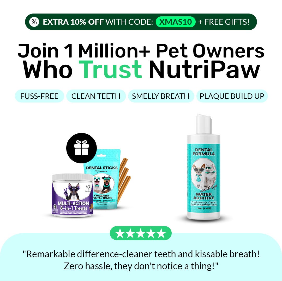 //nutri-paw.com/cdn/shop/files/dental-formula-water-additive-5240234.jpg?v=1765737787