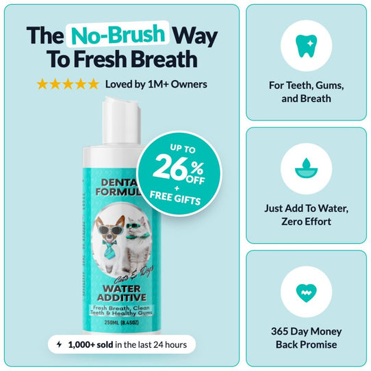 Dental Formula Water Additive - NutriPaw