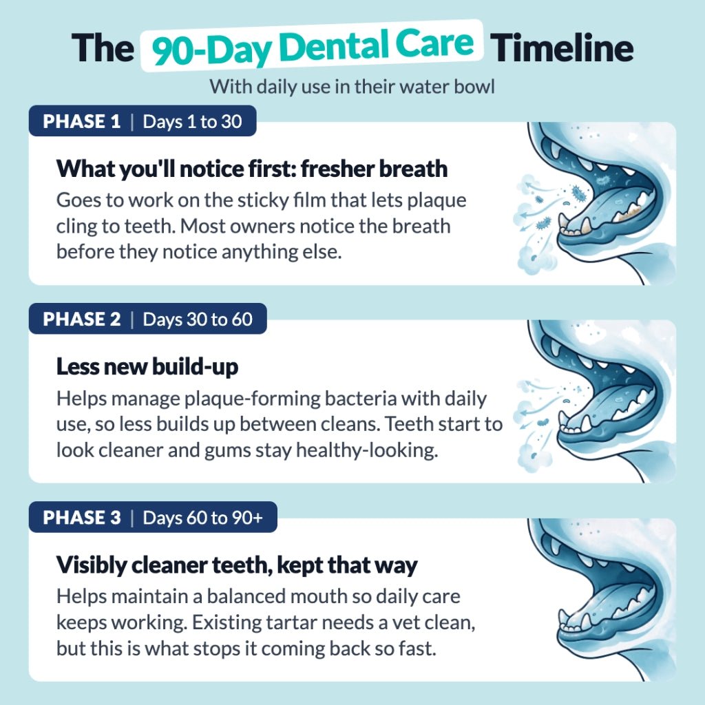 //nutri-paw.com/cdn/shop/files/dental-formula-water-additive-6936345.jpg?v=1790746753