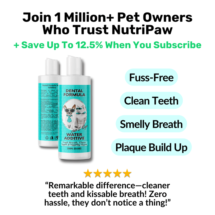 Dental Formula Water Additive - NutriPaw