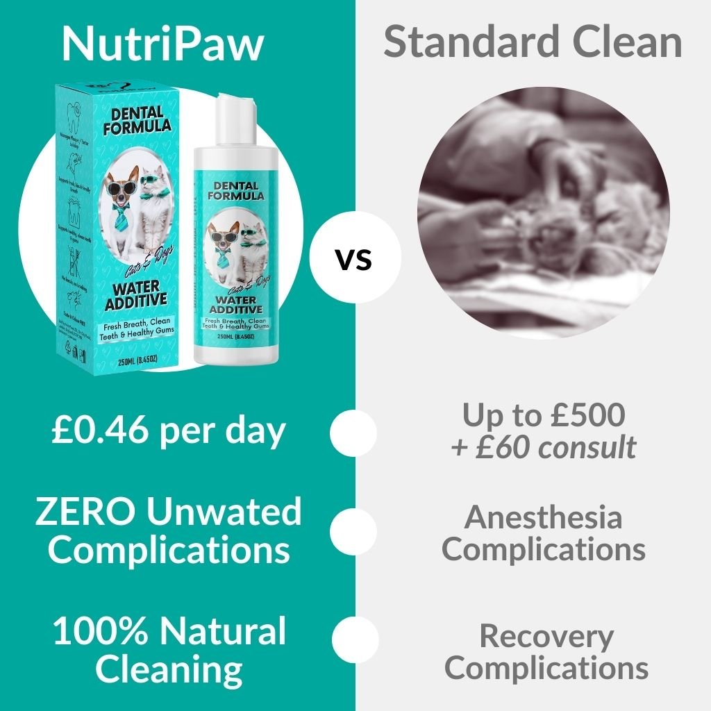 Dental Formula Water Additive - NutriPaw