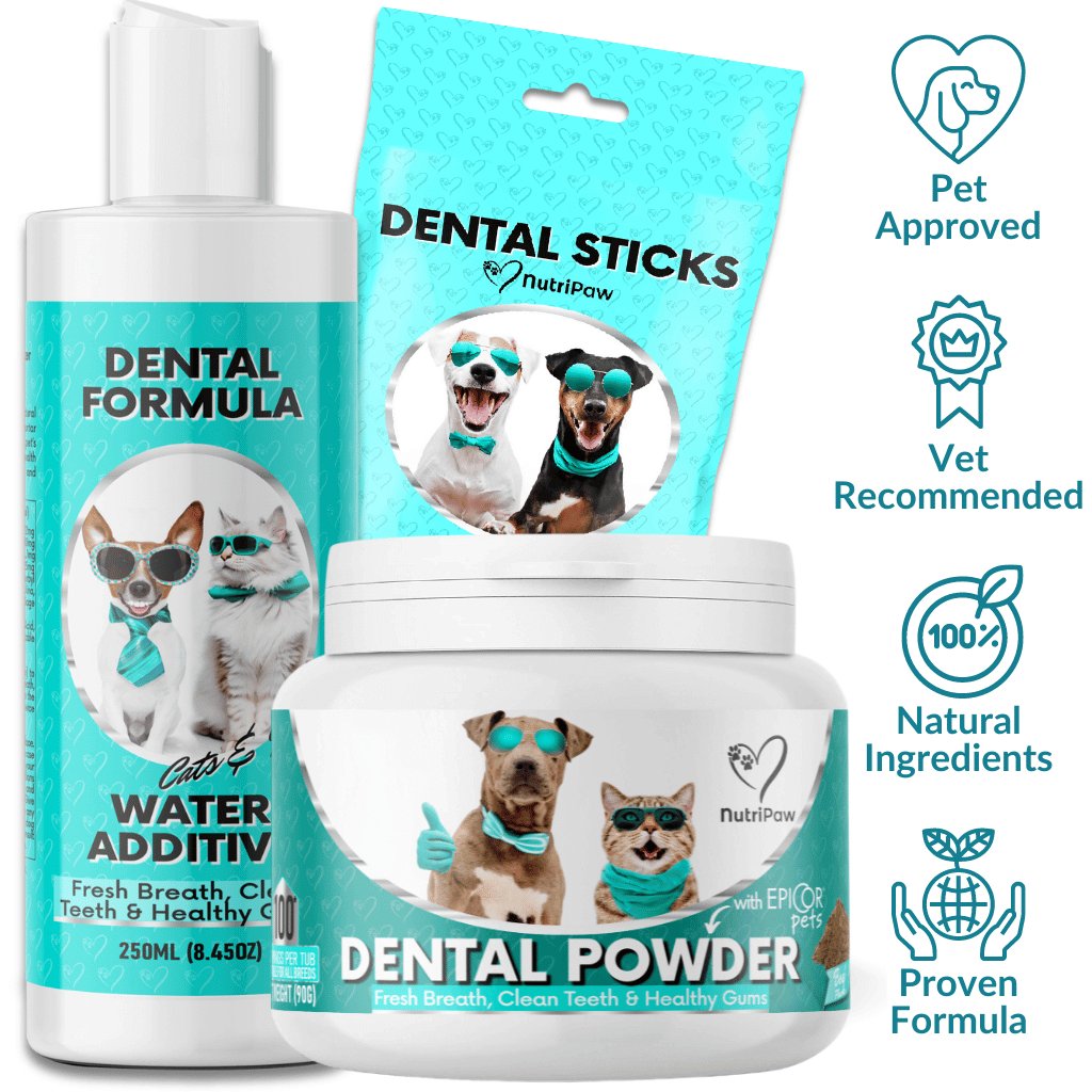 Dental Kit - NutriPaw