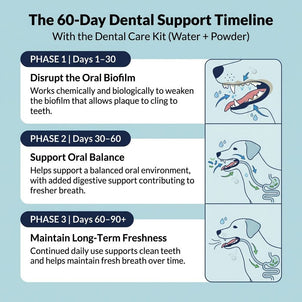 Dental Kit - NutriPaw