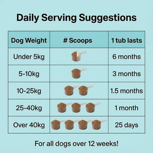 Dental Kit - NutriPaw