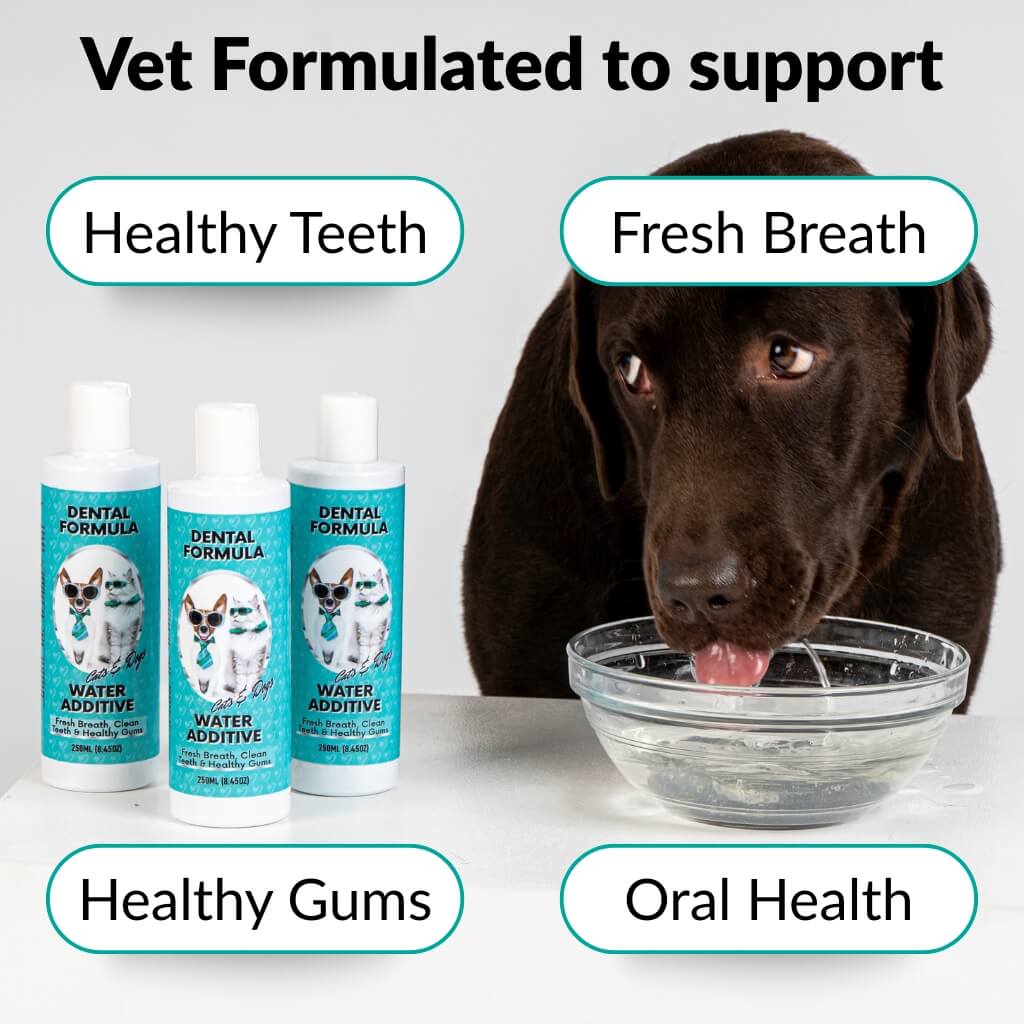 Dental Kit - NutriPaw