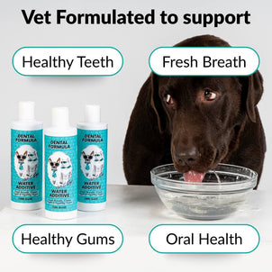 Dental Kit - NutriPaw