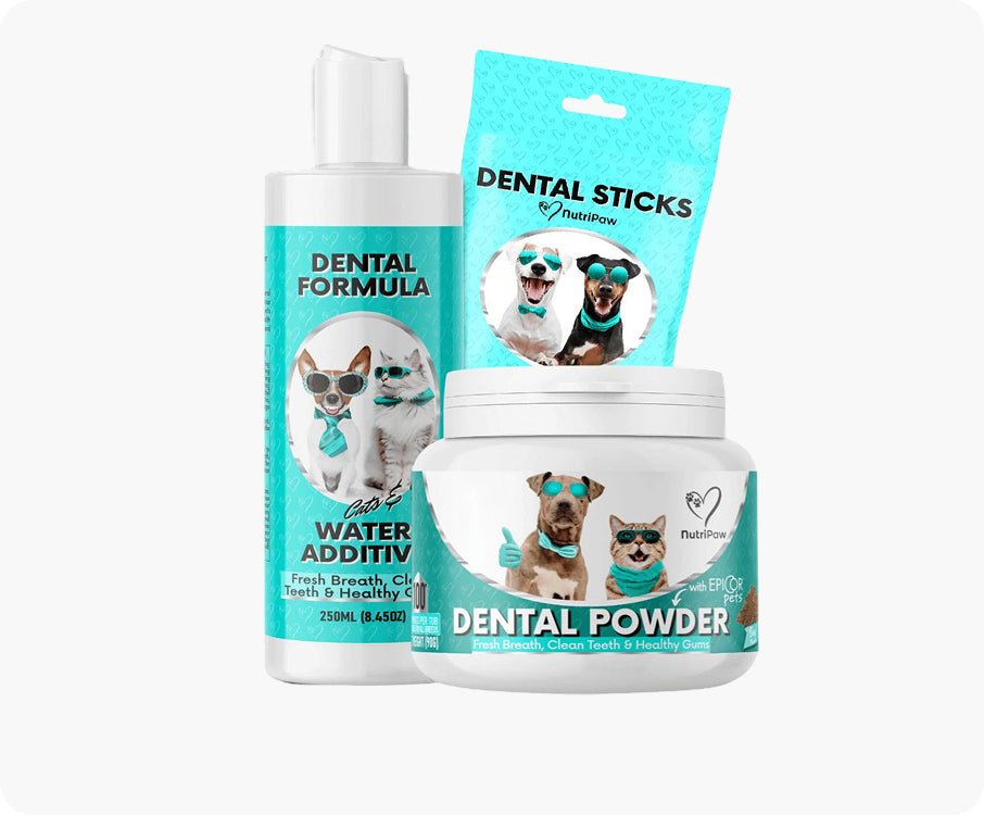 Dental Kit BFCM - NutriPaw