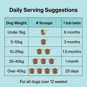 Dental Powder - NutriPaw
