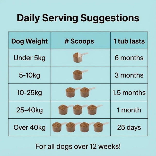 Dental Powder - NutriPaw
