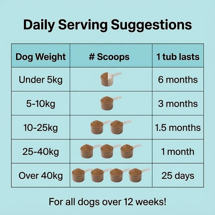 Dental Powder - NutriPaw