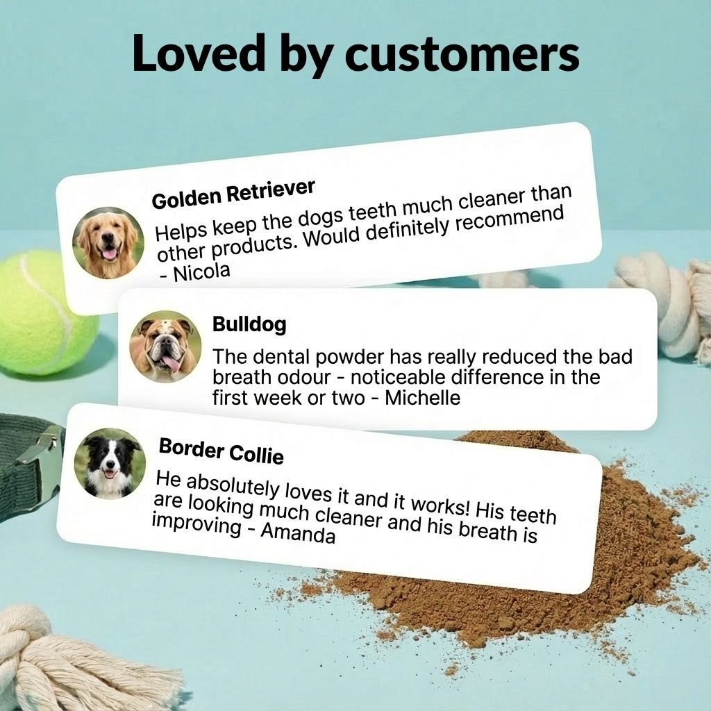 Dental Powder - NutriPaw