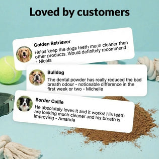 Dental Powder - NutriPaw