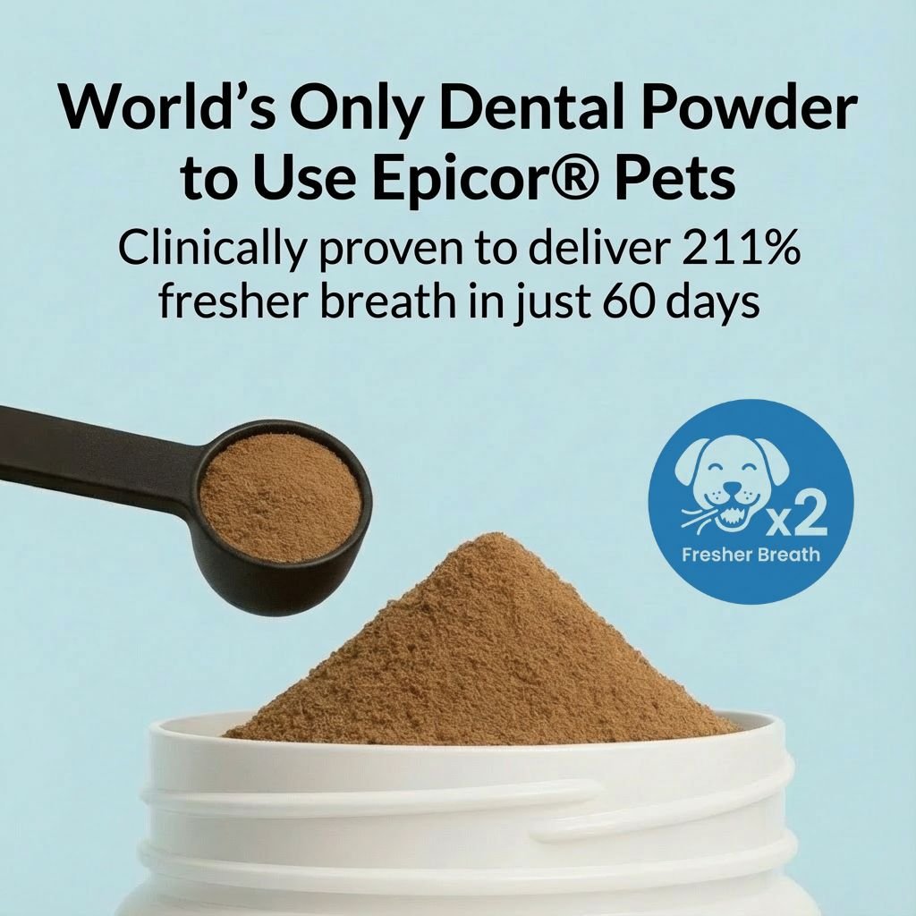 Dental Powder - NutriPaw